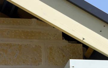 soffit repair Meagill
