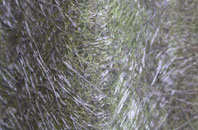 Meagill fibreglass roof work